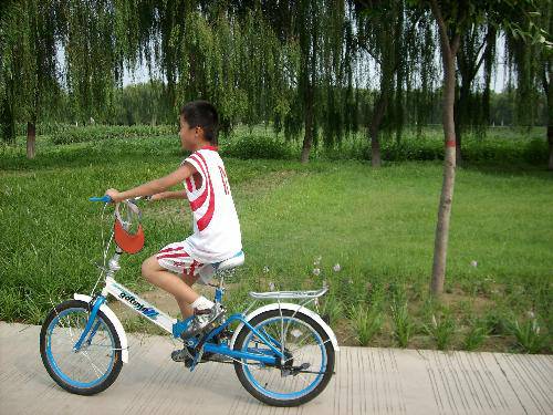 �ˮ��԰�����(�޸�ƪ������