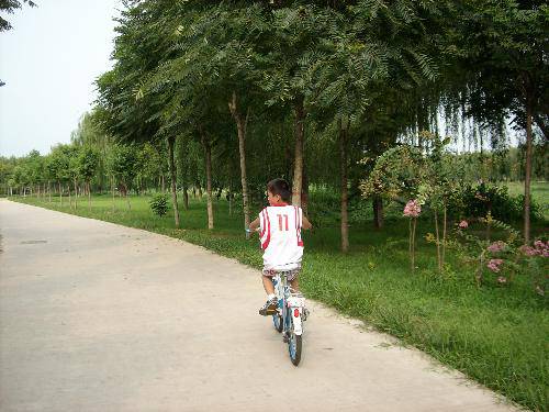 �ˮ��԰�����(�޸�ƪ������