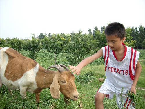 �ˮ��԰�����(�޸�ƪ������