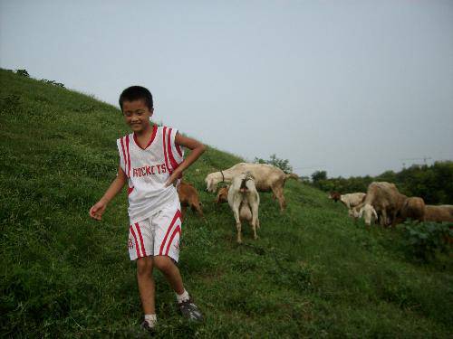 �ˮ��԰�����(�޸�ƪ������