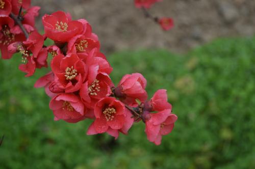 ��������������