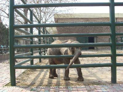 ����԰��Ĵ�������