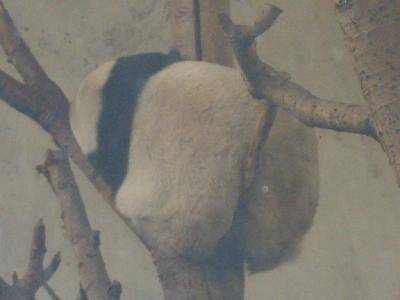 ����԰��Ĵ�������