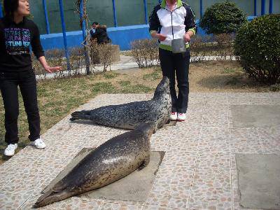 ����԰��Ĵ�������