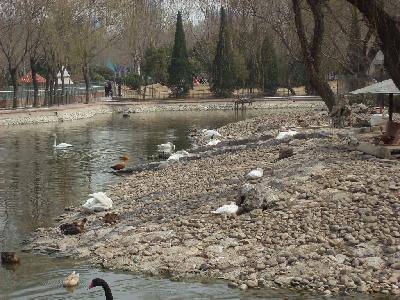 ����԰��Ĵ�������