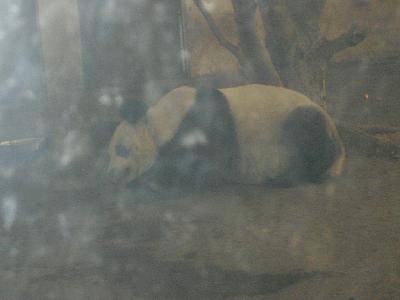 ����԰��Ĵ�������