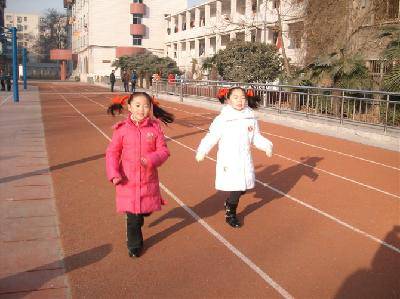 2010Ԫ�����ֻ�����