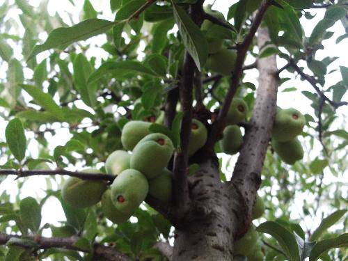 ����ֲ���ջ������