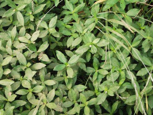 ����ֲ���ջ������