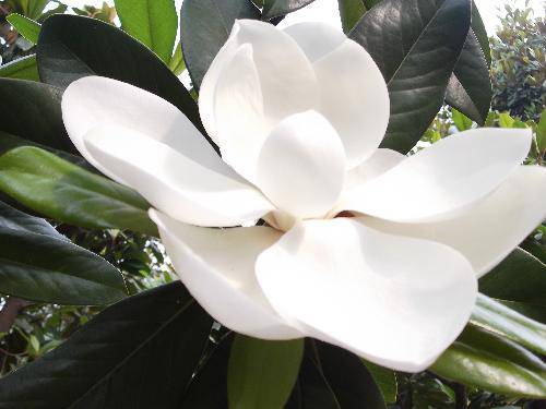 ����ֲ���ջ������