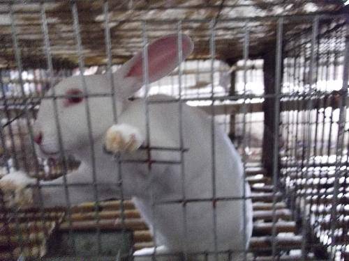 ����ֲ���ջ������