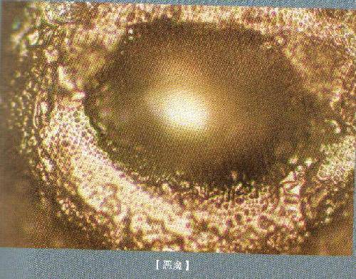 Сˮ�ν��á�����ʾˮ�ᾧ����������