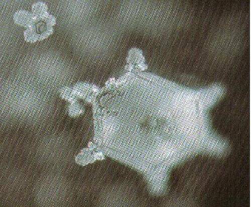 Сˮ�ν��á�����ʾˮ�ᾧ����������