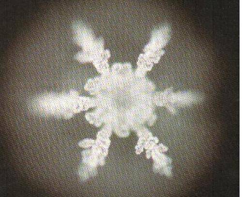 Сˮ�ν��á�����ʾˮ�ᾧ����������