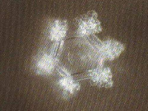 Сˮ�ν��á�����ʾˮ�ᾧ����������