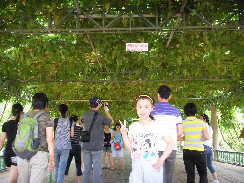 �ǻ۵Ľᾧ��������������