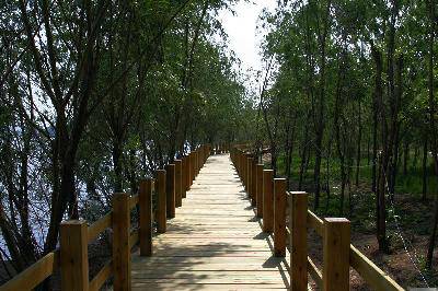 ���紺��������