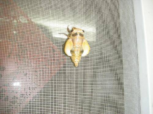 ������������