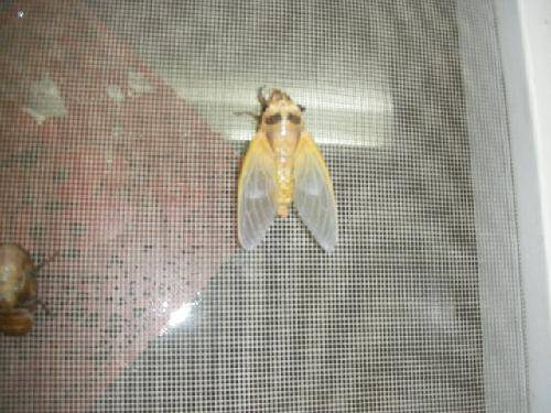 ������������