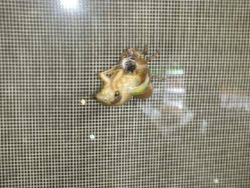 ������������