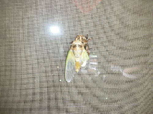 ������������