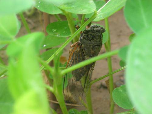 ������������