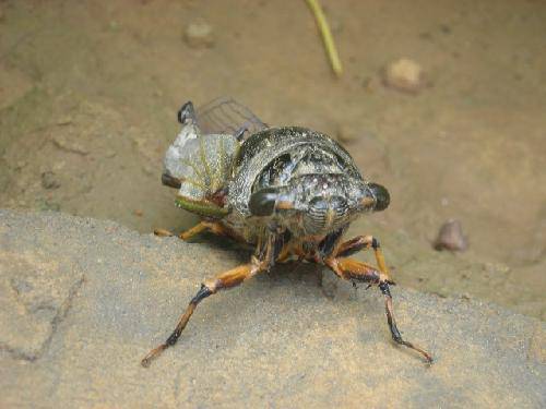 ������������