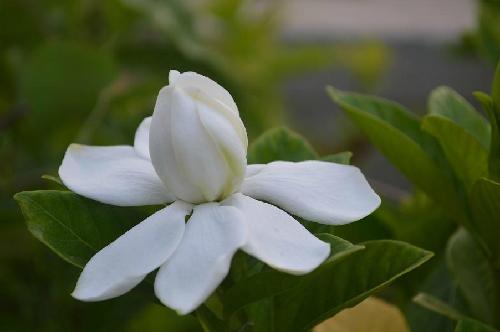 ���ӻ�������