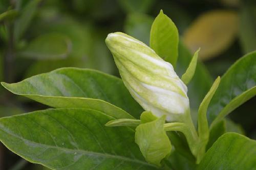 ���ӻ�������