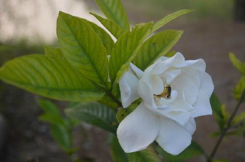 ���ӻ�������