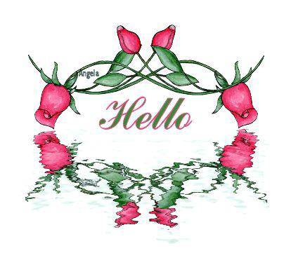 �����ø�������