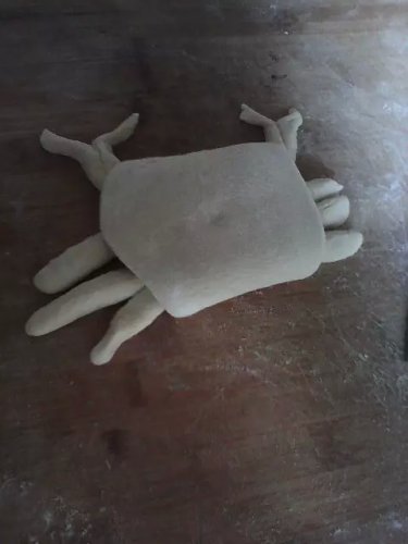 ����СС���ʦ��һ������