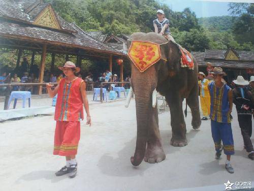 �߲����ϣ���������