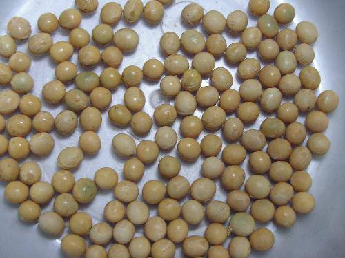 �۲��ռǡ�����С���ӡ��ɳ��ǣ�һ������