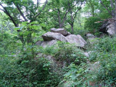 ����ɽ�μǡ��������ġ�����