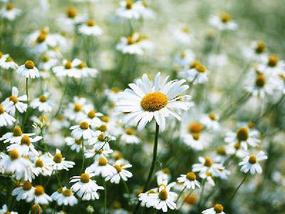 �����;�����