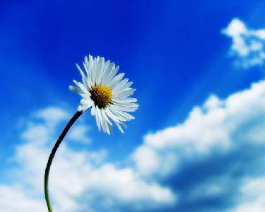 �����;�����