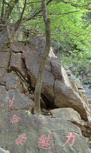 ����Ͽ�羰����