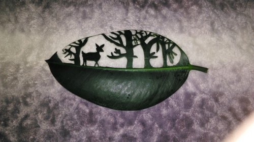 跟着飞雪妈妈学叶雕作文