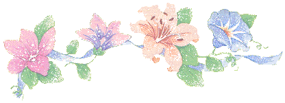 ����һ��������