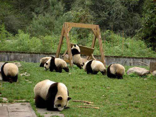 �����������Ĵ�---�߽���̬����Ĵ���è��������