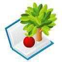 ������  ���ջ�  �ҿ�������