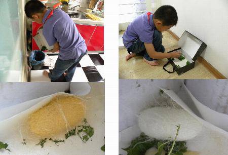 ���ϼ�������