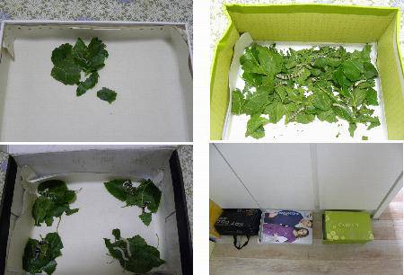 ���ϼ�������