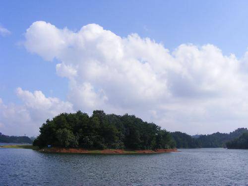 �����μǣ�����������������