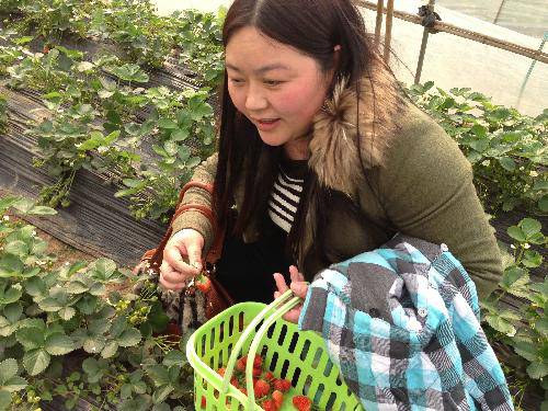 ժ��ݮ�����