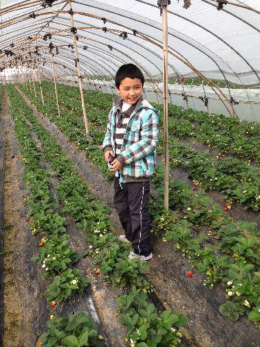 ժ��ݮ�����