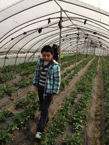 ժ��ݮ�����