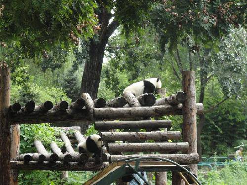 �²�����˭����