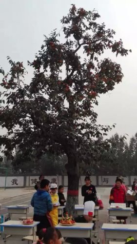 ���ʵ�ˮ��ƴ�̴�������